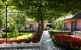 Hotel Tsiskari